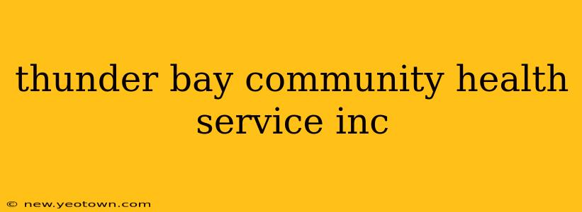 thunder bay community health service inc