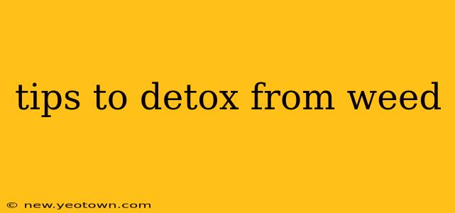 tips to detox from weed