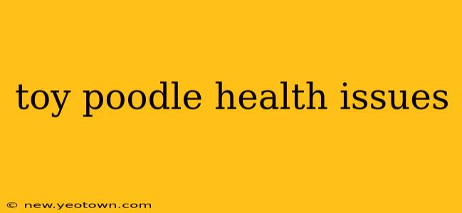toy poodle health issues