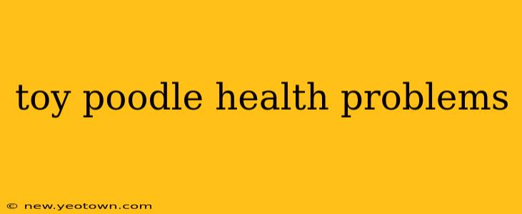 toy poodle health problems