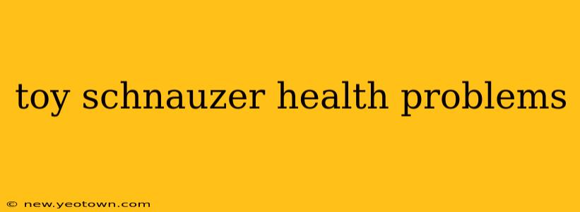 toy schnauzer health problems