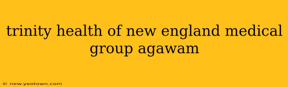 trinity health of new england medical group agawam