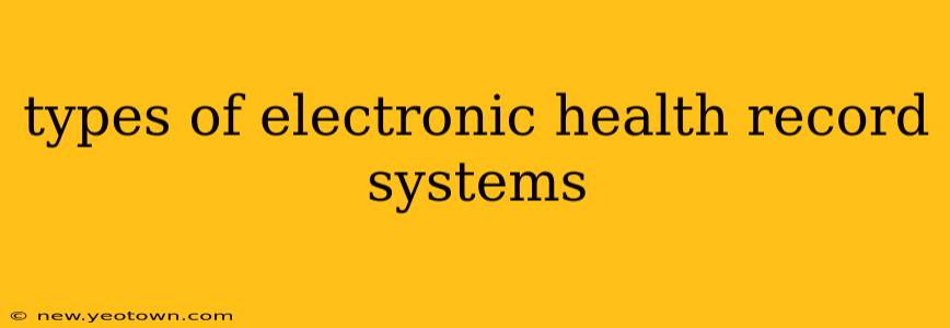 types of electronic health record systems