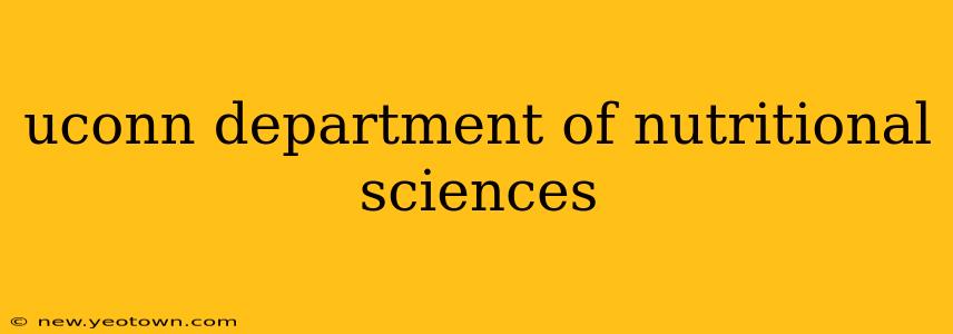 uconn department of nutritional sciences