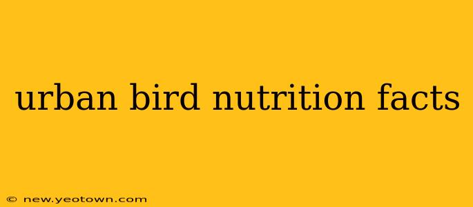 urban bird nutrition facts