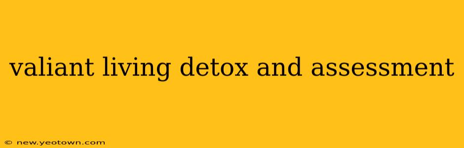 valiant living detox and assessment