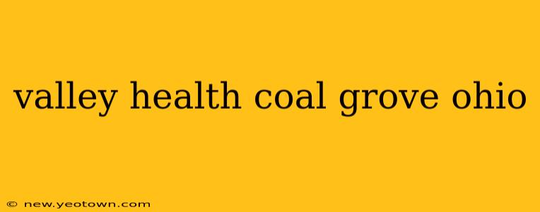 valley health coal grove ohio