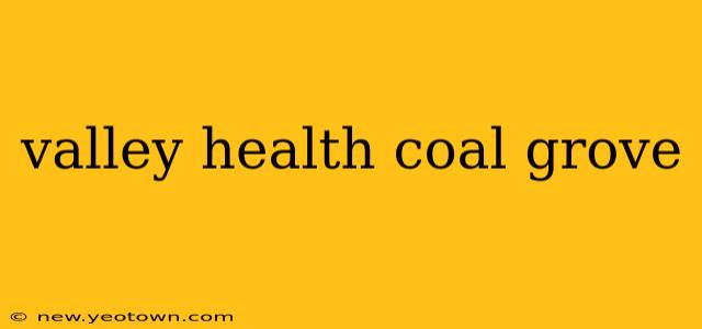 valley health coal grove