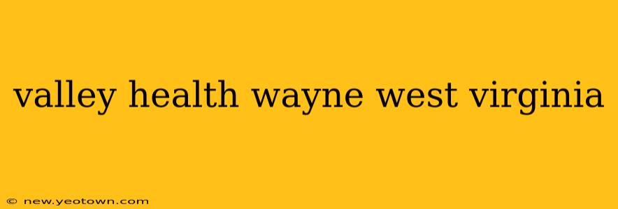 valley health wayne west virginia