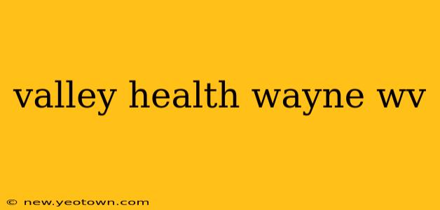 valley health wayne wv