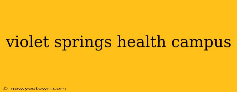 violet springs health campus