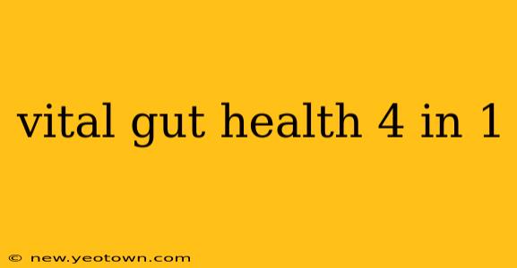 vital gut health 4 in 1