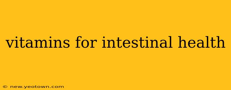 vitamins for intestinal health