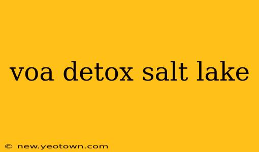 voa detox salt lake