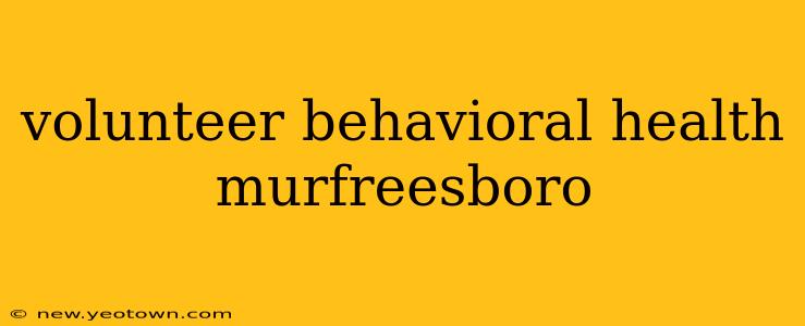volunteer behavioral health murfreesboro