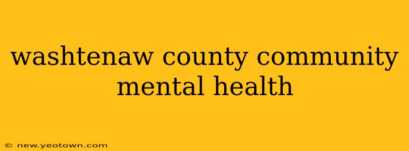 washtenaw county community mental health
