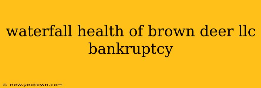 waterfall health of brown deer llc bankruptcy