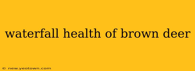 waterfall health of brown deer