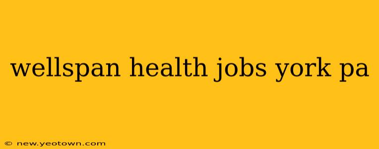 wellspan health jobs york pa