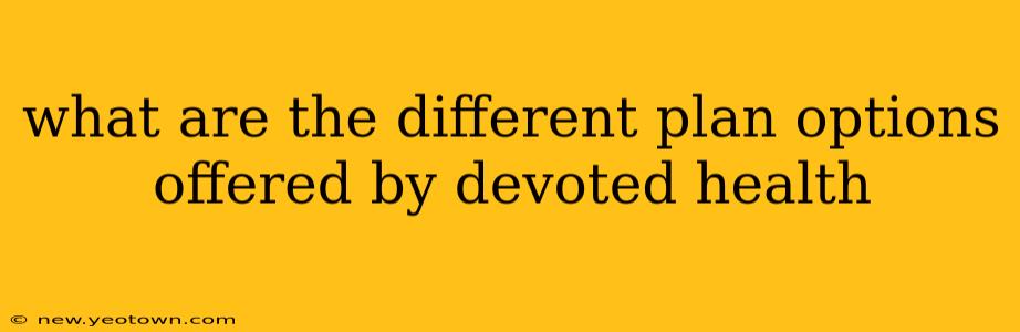 what are the different plan options offered by devoted health