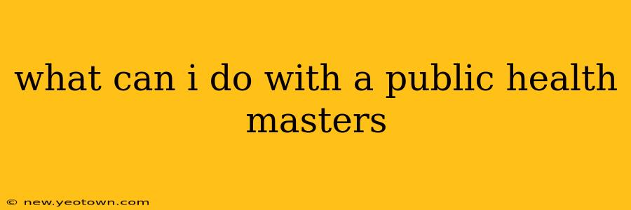 what can i do with a public health masters
