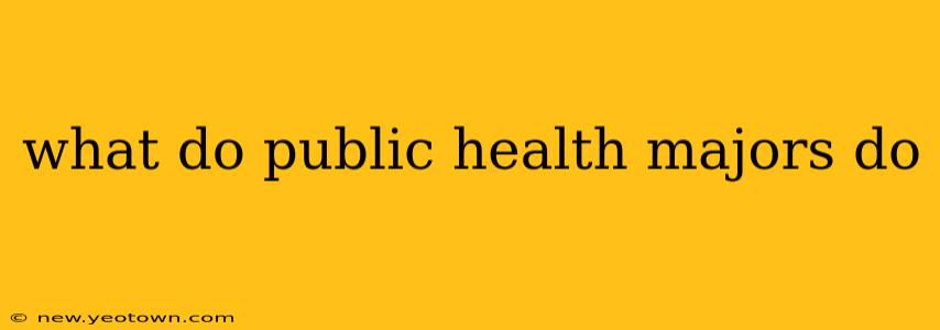 what do public health majors do
