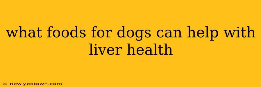 what foods for dogs can help with liver health