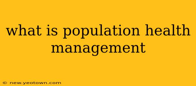 what is population health management