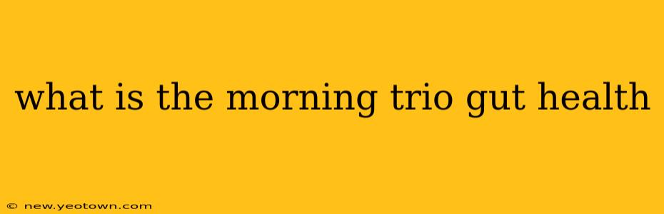 what is the morning trio gut health