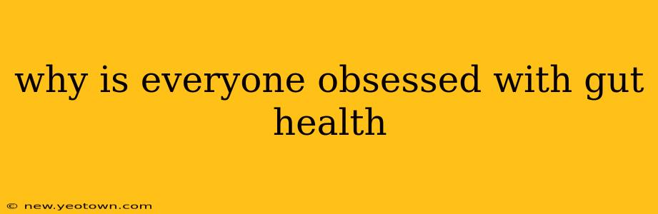 why is everyone obsessed with gut health