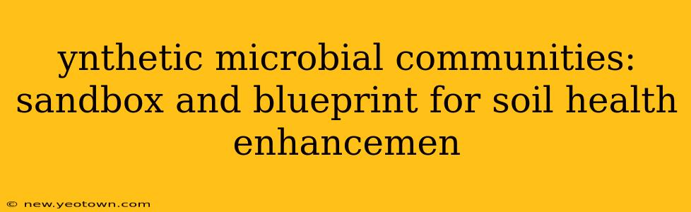 ynthetic microbial communities: sandbox and blueprint for soil health enhancemen